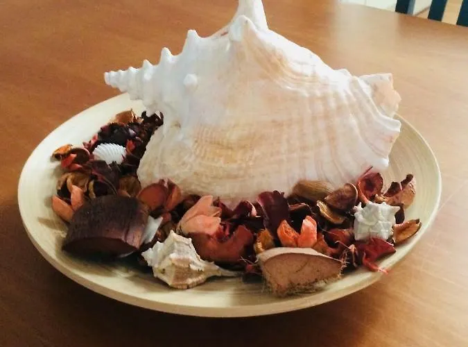 Venetian House * 베니스