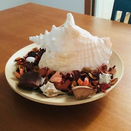 Venetian House * Veneza